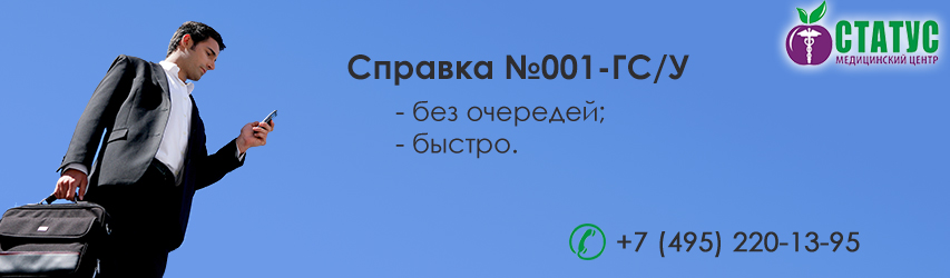 Справка 001 гсу для госслужащих